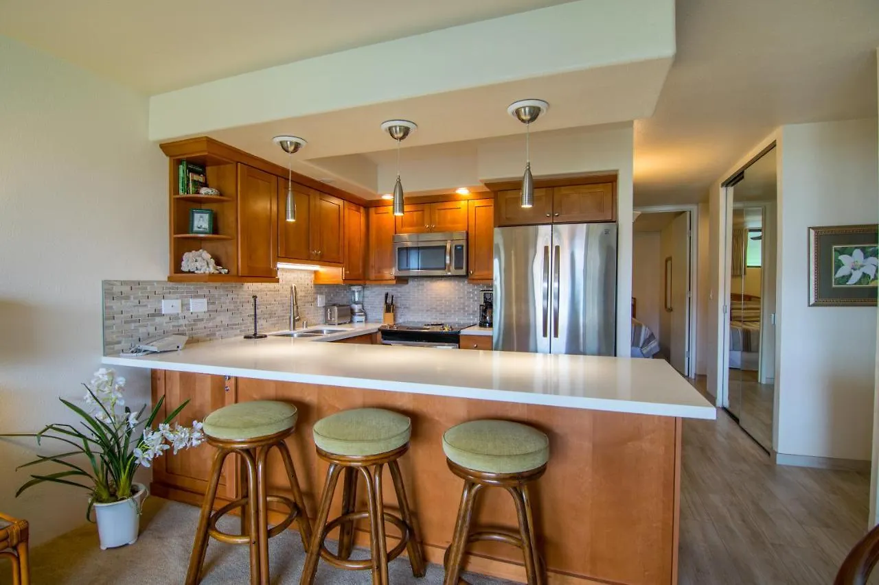 Holiday home Papakea J303 Villa Kahana United States